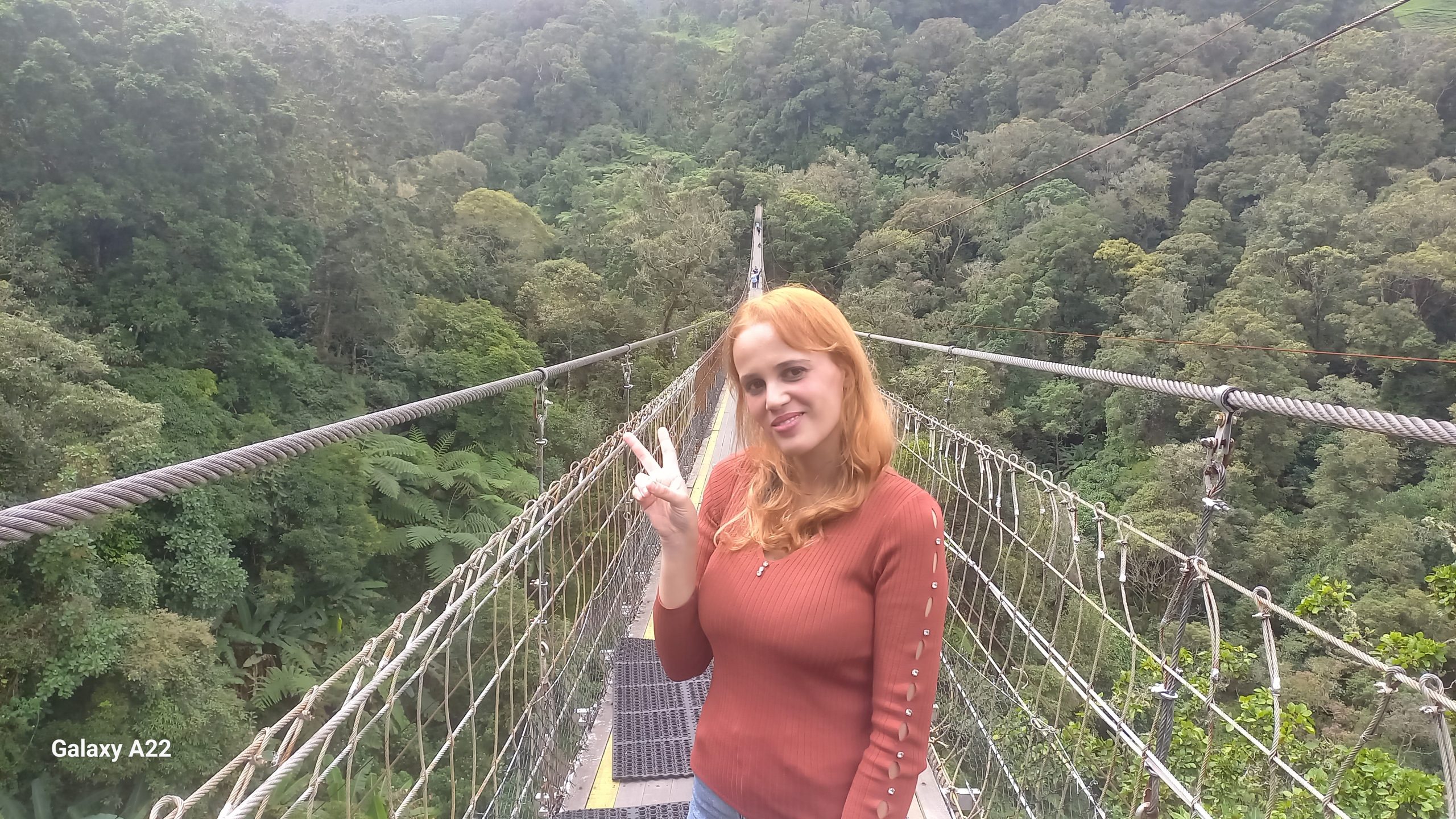 Suspension Bridge